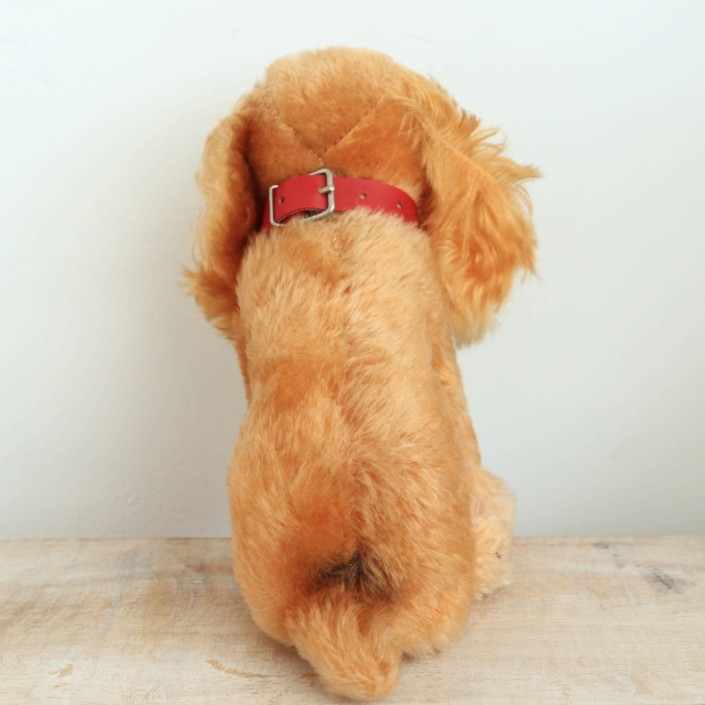 アンティーク シュタイフ コッカースパニエル Steiff Susi 17cm
