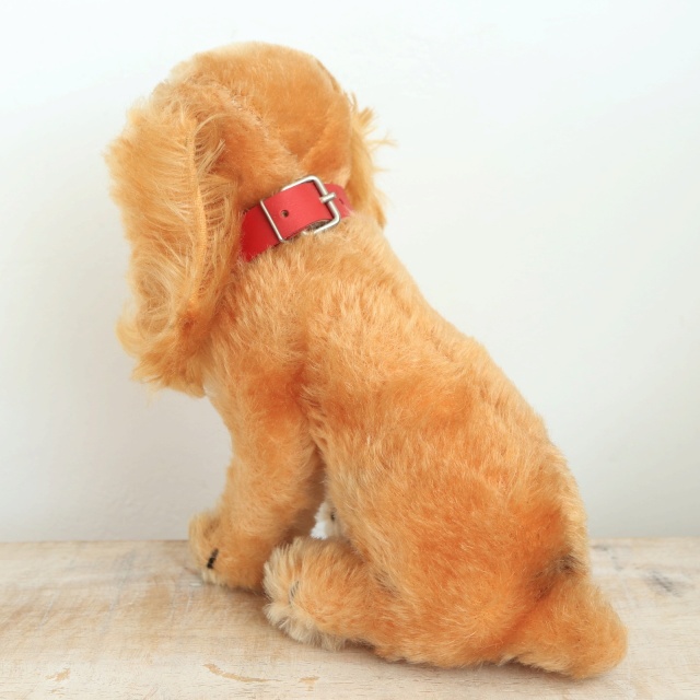 アンティーク シュタイフ コッカースパニエル Steiff Susi 17cm