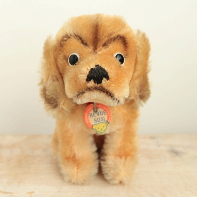 アンティーク シュタイフ コッカースパニエル Steiff Susi 12cm