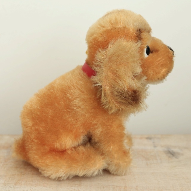 アンティーク シュタイフ コッカースパニエル Steiff Susi 12cm