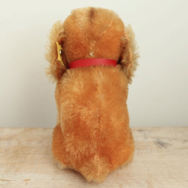 アンティーク シュタイフ コッカースパニエル Steiff Susi 12cm