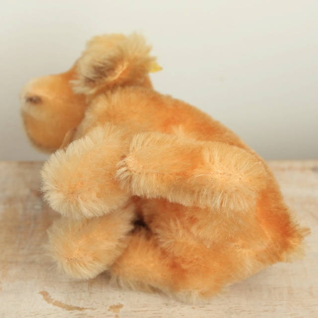 アンティーク シュタイフ コッカースパニエル Steiff Susi 12cm
