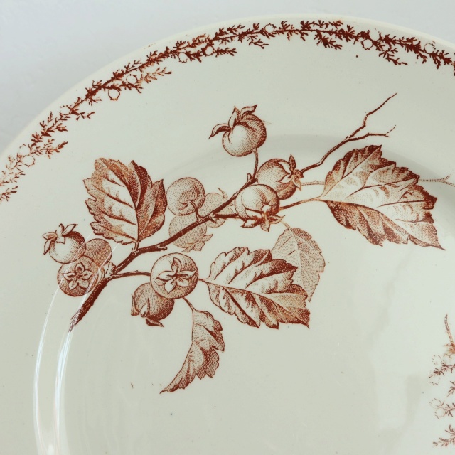 アンティーク プレート 小鳥 皿 SYLVA フランス クレイユモントロー製 Creil Montereau