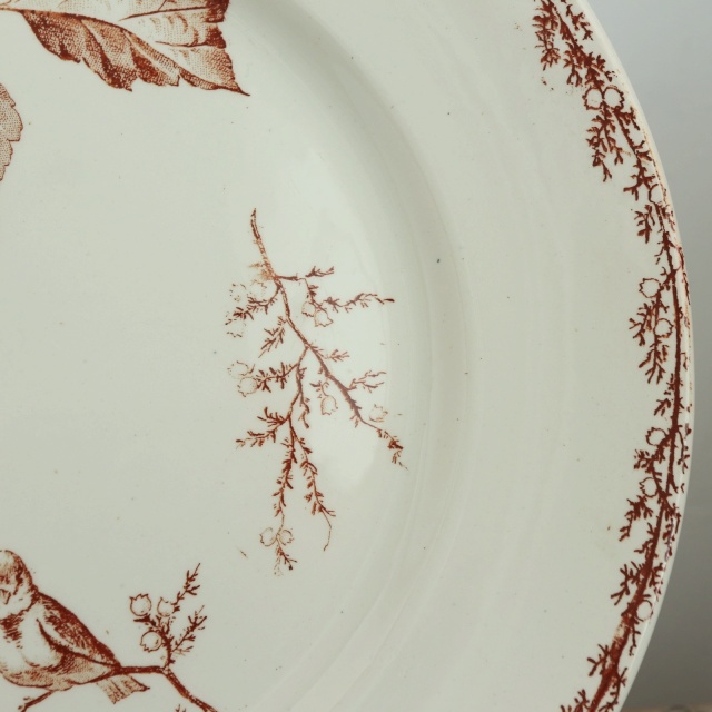 アンティーク プレート 小鳥 皿 SYLVA フランス クレイユモントロー製 Creil Montereau