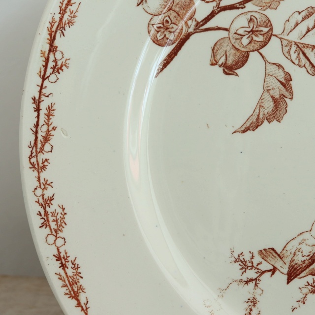 アンティーク プレート 小鳥 皿 SYLVA フランス クレイユモントロー製 Creil Montereau