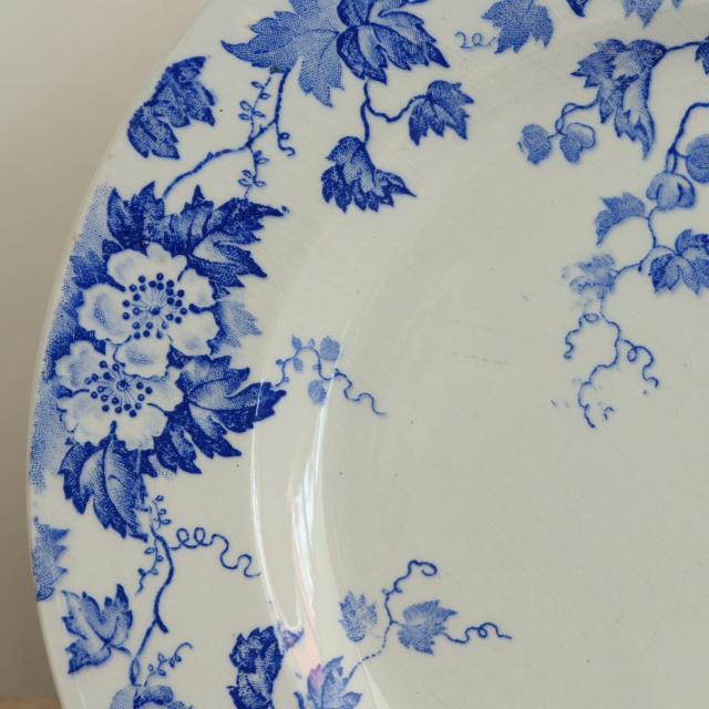 アンティーク プレート 野イチゴ MARION 皿 フランス サンタマン製