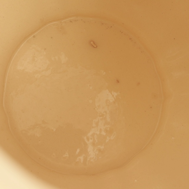 アンティーク ティーポット 花リム Ivoire フランス サルグミンヌ製 Sarreguemines