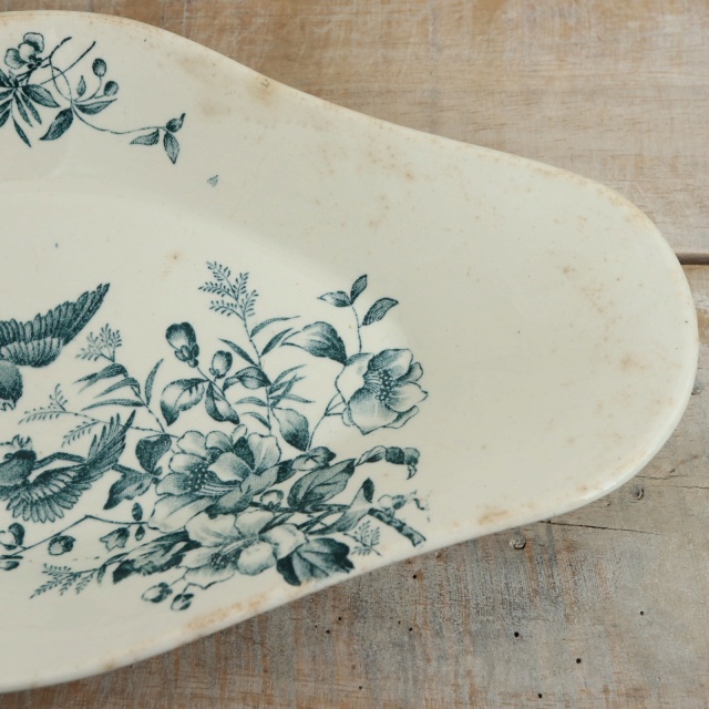 アンティーク ラヴィエ 小鳥 オーバル皿 MIGNON フランス ロンウィー製 LONGWY