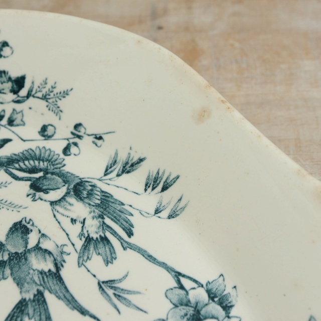 アンティーク ラヴィエ 小鳥 オーバル皿 MIGNON フランス ロンウィー製 LONGWY