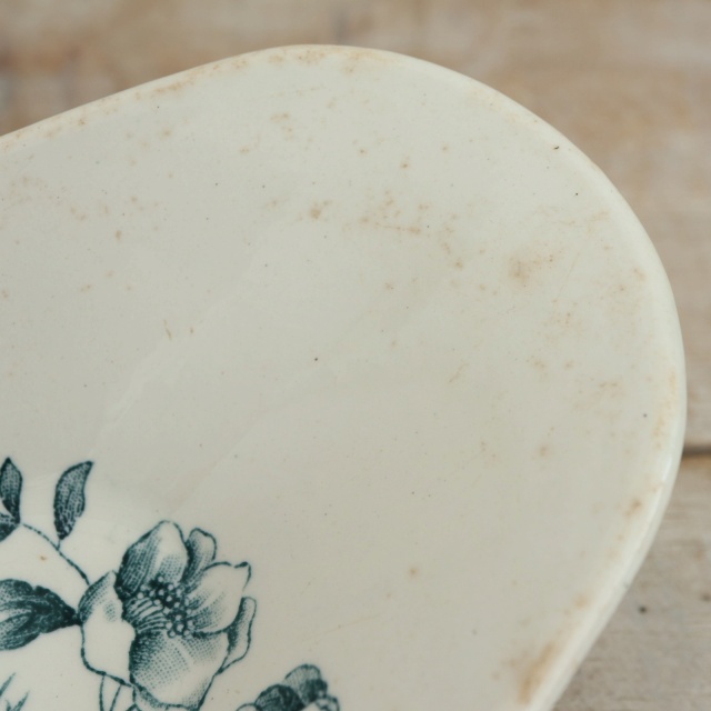 アンティーク ラヴィエ 小鳥 オーバル皿 MIGNON フランス ロンウィー製 LONGWY