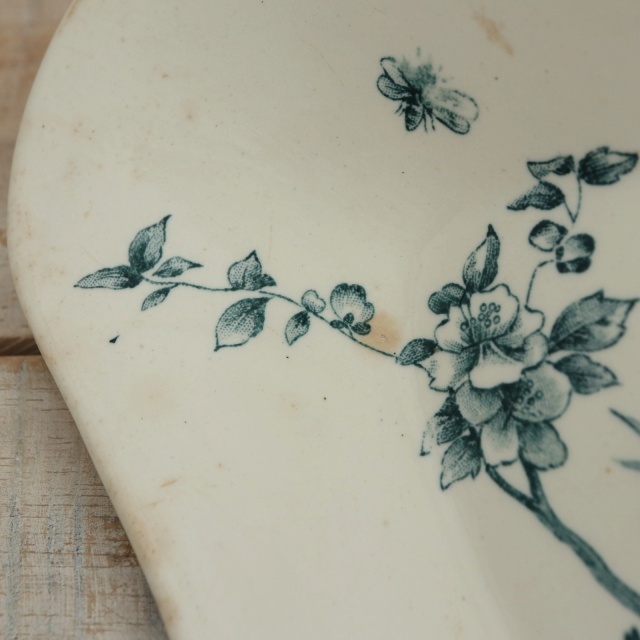 アンティーク ラヴィエ 小鳥 オーバル皿 MIGNON フランス ロンウィー製 LONGWY