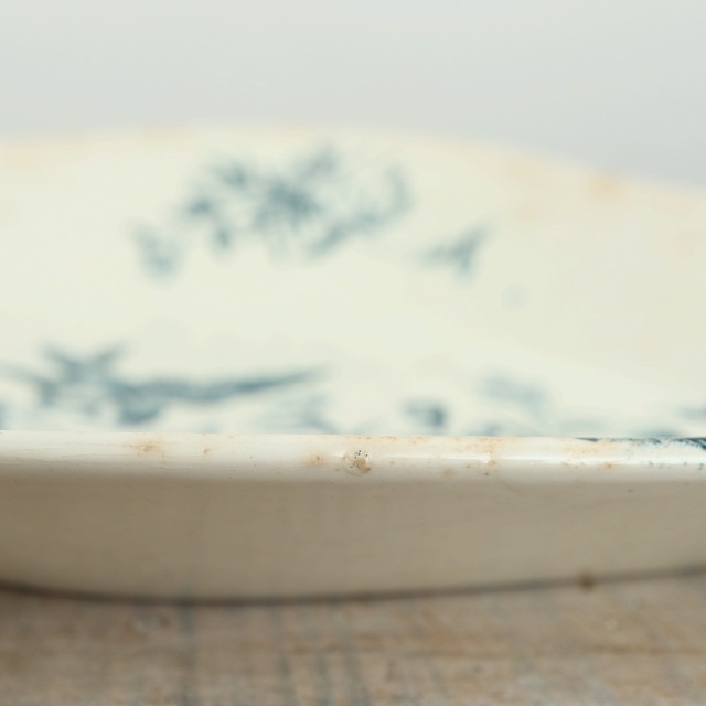 アンティーク ラヴィエ 小鳥 オーバル皿 MIGNON フランス ロンウィー製 LONGWY