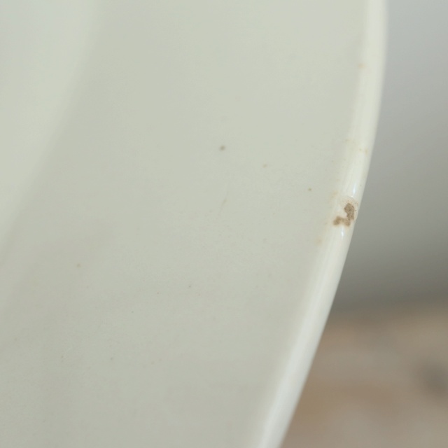 アンティーク プレート 小鳥 皿 MIGNON フランス ロンウィー製 LONGWY