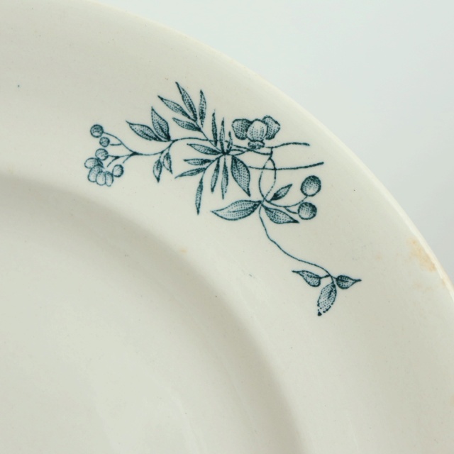 アンティーク プレート 小鳥 皿 MIGNON フランス ロンウィー製 LONGWY