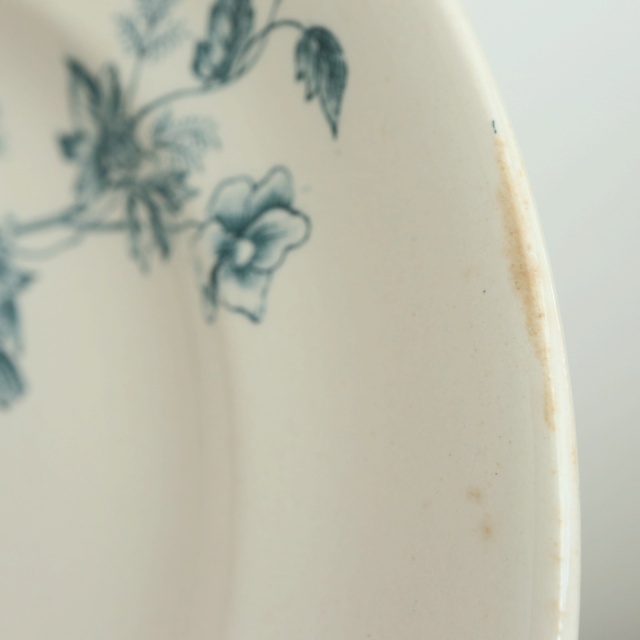 アンティーク プレート 小鳥 皿 MIGNON フランス ロンウィー製 LONGWY