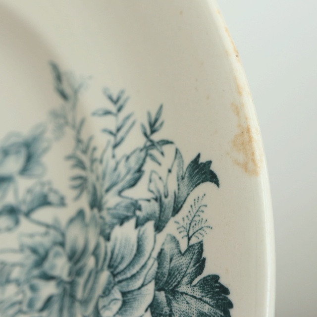 アンティーク プレート 小鳥 皿 MIGNON フランス ロンウィー製 LONGWY