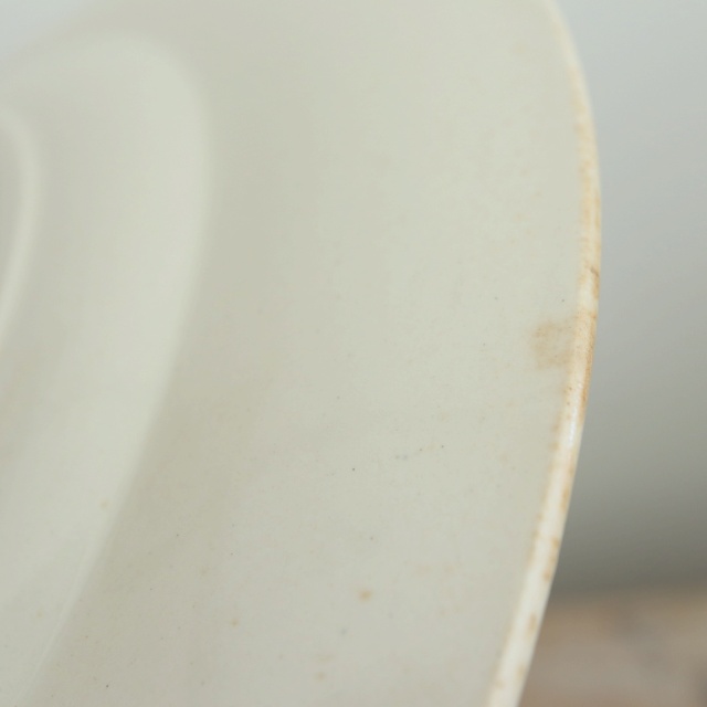 アンティーク プレート 小鳥 皿 MIGNON フランス ロンウィー製 LONGWY