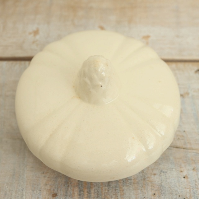 アンティーク シュガーポット 花リム Ivoire フランス サルグミンヌ製 Sarreguemines