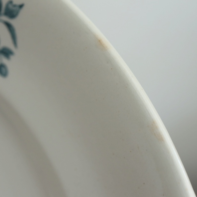 アンティーク プレート 小鳥 皿 MIGNON フランス ロンウィー製 LONGWY