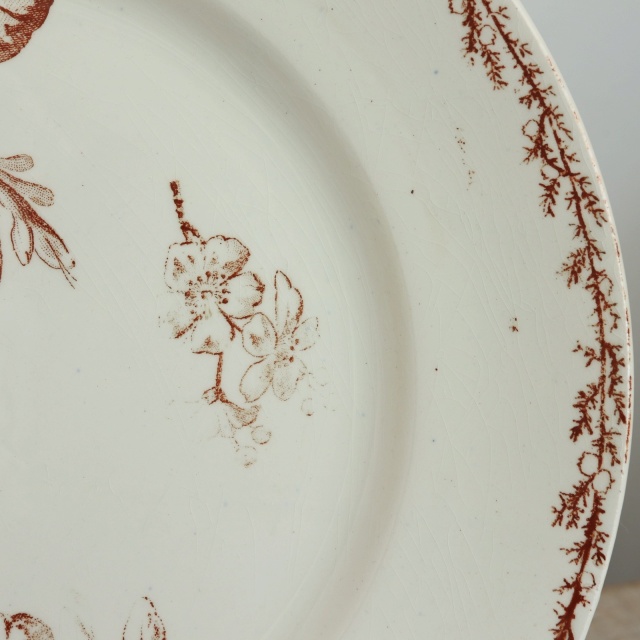 アンティーク プレート 小鳥 皿 SYLVA フランス クレイユモントロー製 Creil Montereau