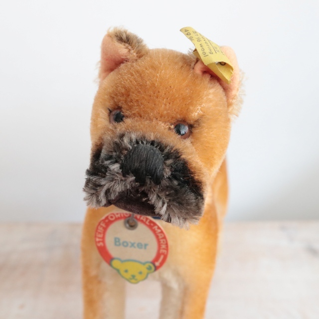 アンティーク シュタイフ ボクサー Steiff Boxer 17cm
