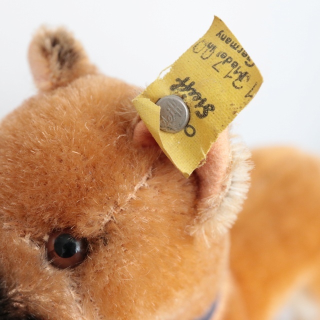 アンティーク シュタイフ ボクサー Steiff Boxer 17cm
