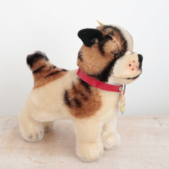 アンティーク シュタイフ ブルドッグ Steiff Bully 10cm