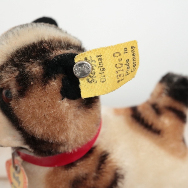 アンティーク シュタイフ ブルドッグ Steiff Bully 10cm