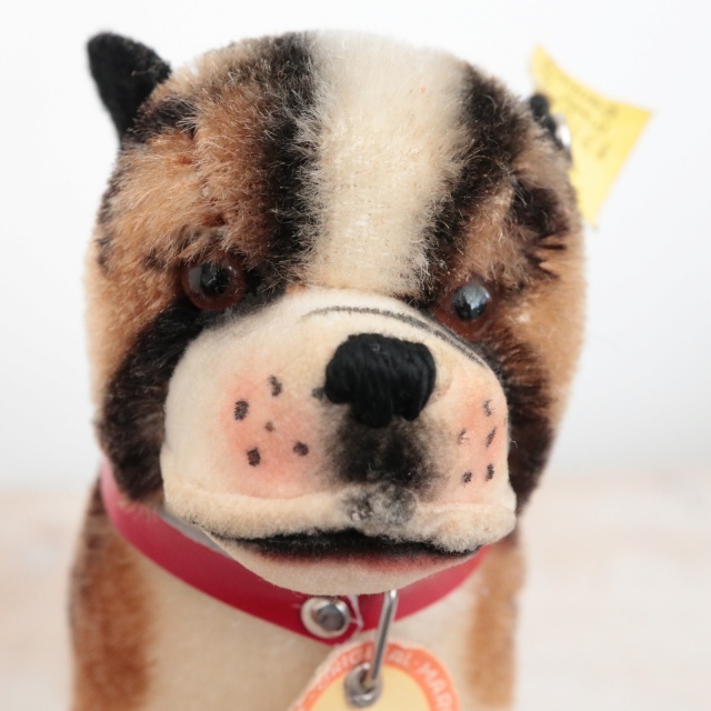 アンティーク シュタイフ ブルドッグ Steiff Bully 10cm