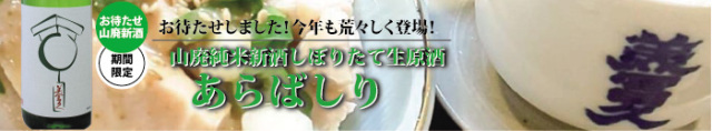 2021あらばしりバナー.jpg