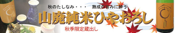 新ひやおろしバナー.jpg