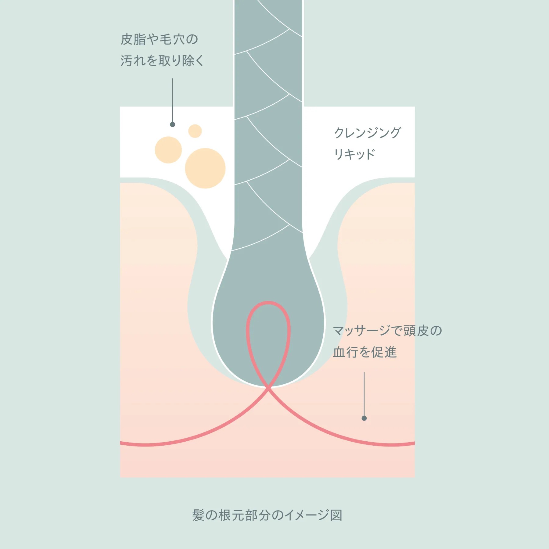 頭皮の皮脂・ベタつきに｜木村石鹸 12/JU-NI スカルプケアクレンジング