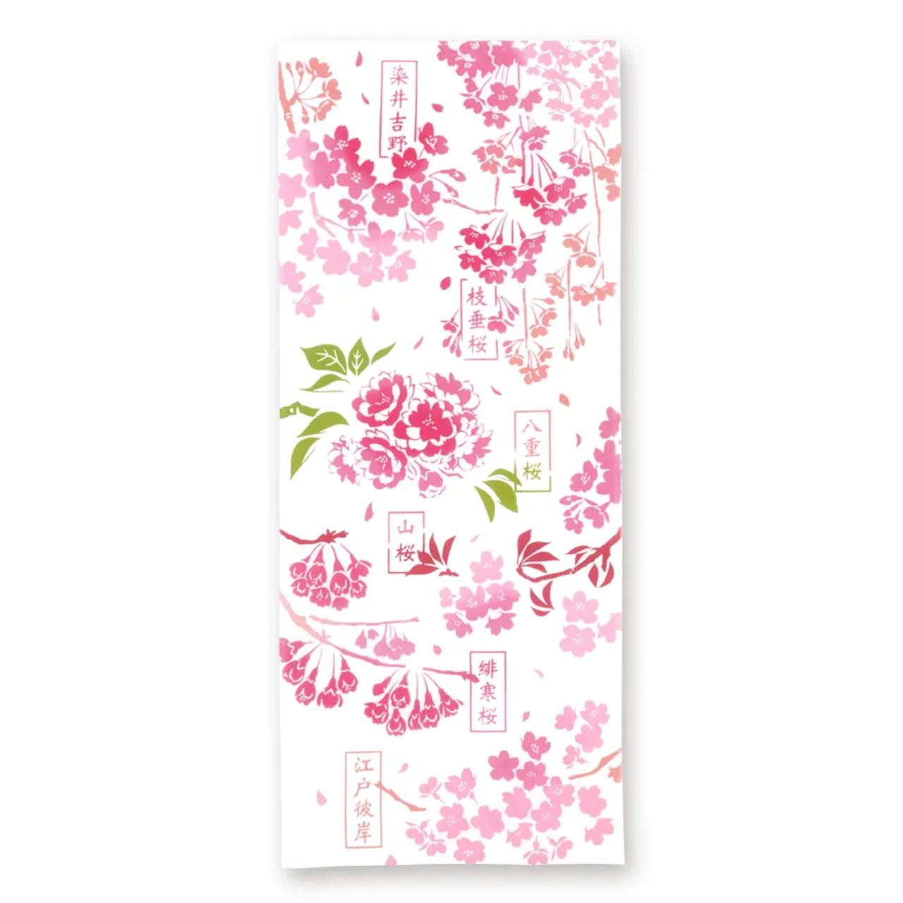 注染の手ぬぐい | 春 / 桜図鑑 - kenema -