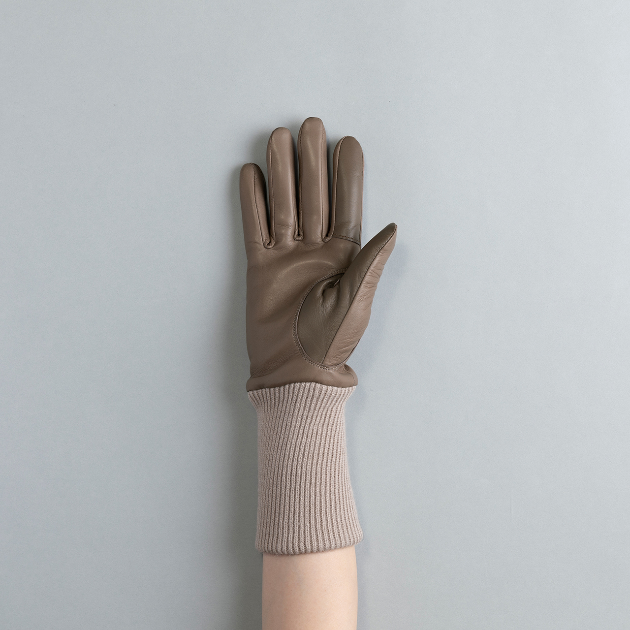 タッチパネル対応 手首まで暖かい 日本製の革手袋 | レディース