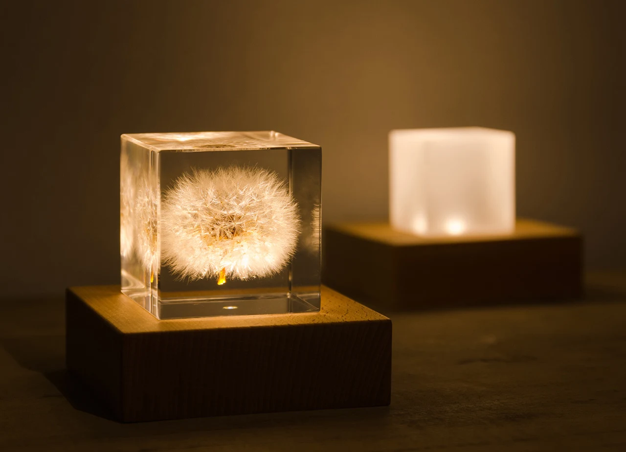 Light Base | ライトベース - twodo -