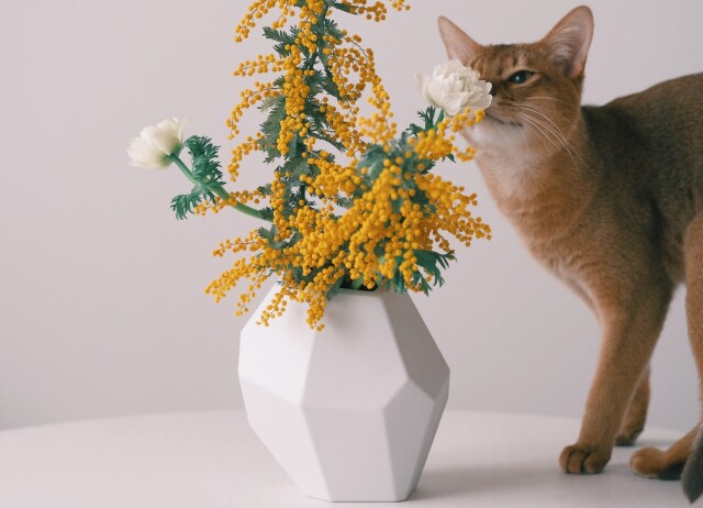 角度を変えて自由に置ける花びん corock | NEIRO- nucca - 角度を変えて自由に置ける花びん corock | NEIRO- nucca -