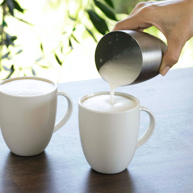 珈琲考具 シェイク ラテ