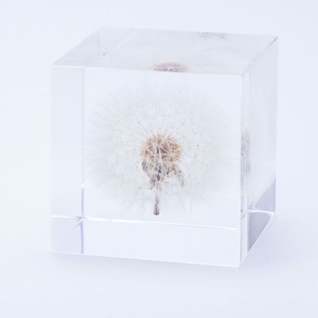 Sola cube(ソラキューブ） - Sola cube -