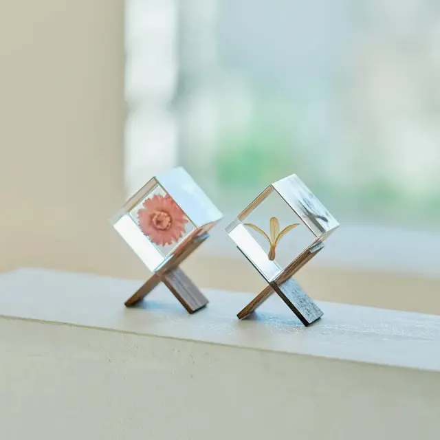 Sola cube(ソラキューブ） - Sola cube -