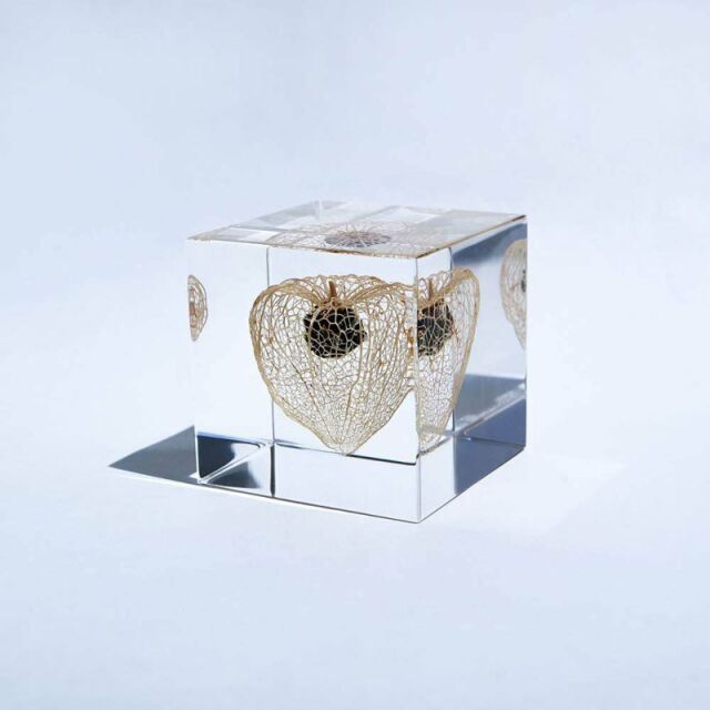Sola cube(ソラキューブ） - Sola cube -