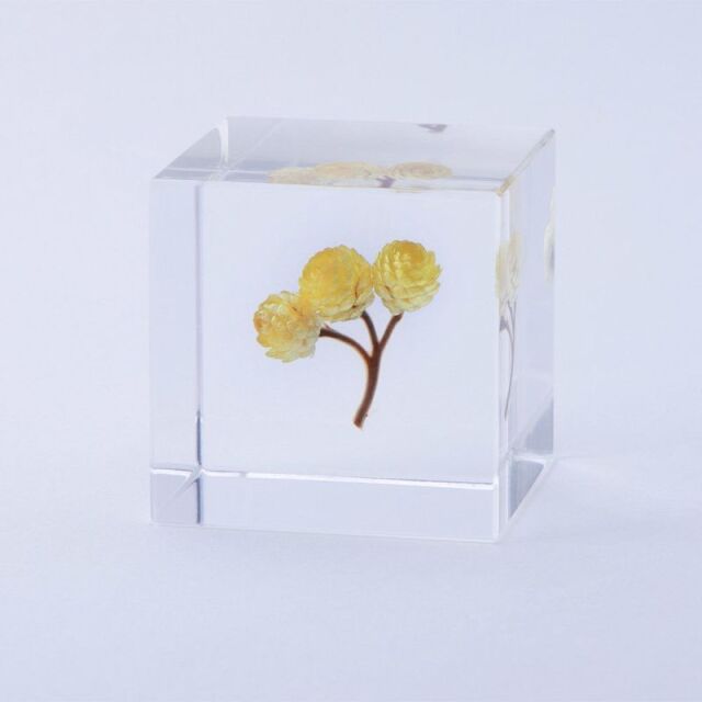 Sola cube(ソラキューブ） - Sola cube -