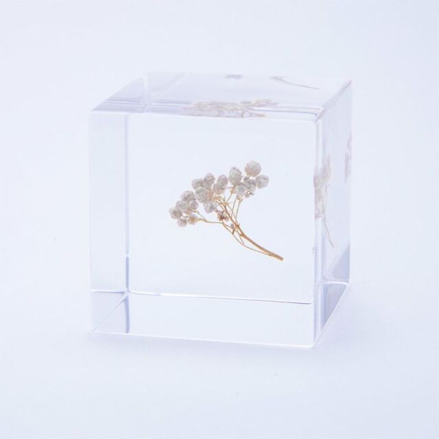 Sola cube(ソラキューブ） - Sola cube -