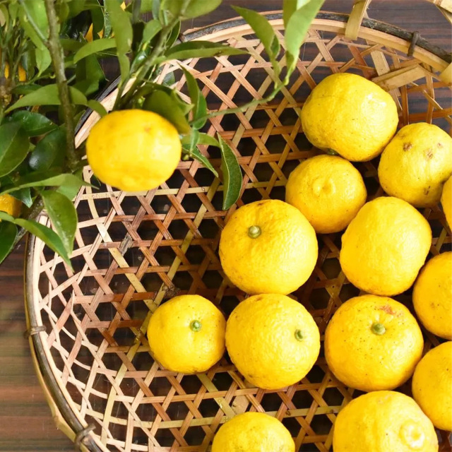 wanowa ハンドクリーム ゆず