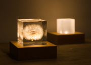 Light Base | ライトベース - twodo -