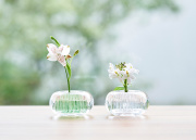 花器 | ミチクサ - +d（プラスディー）-