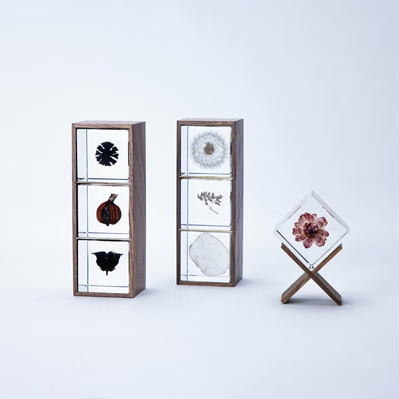 Sola cube(ソラキューブ）専用ディスプレイ 1個用 3個用 - sola cube -