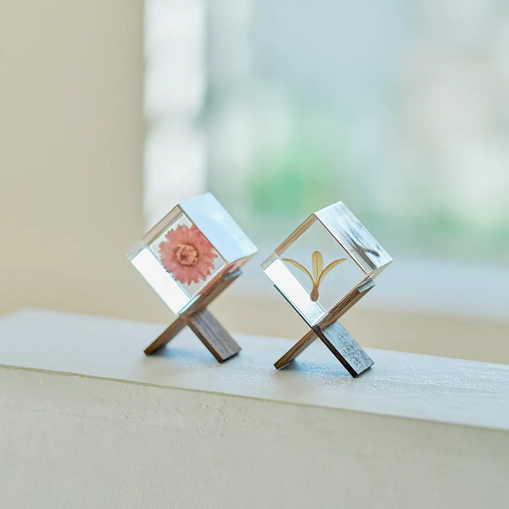 Sola cube(ソラキューブ）専用ディスプレイ 1個用 3個用 - sola cube -