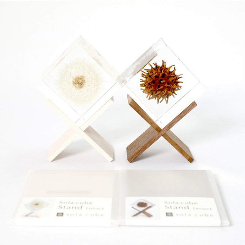 Sola cube(ソラキューブ）専用ディスプレイ 1個用 3個用 - sola cube -