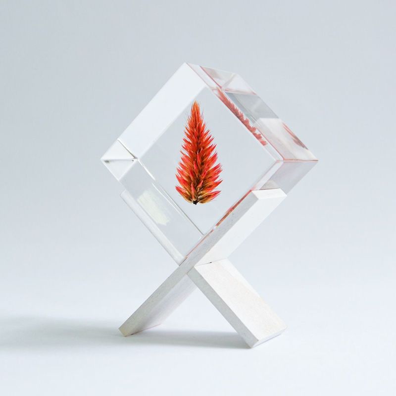 Sola cube(ソラキューブ）専用ディスプレイ 1個用 3個用 - sola cube -
