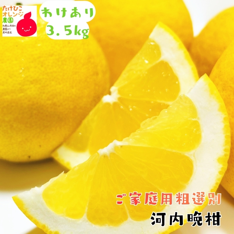 訳あり河内晩柑